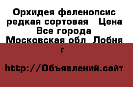 Орхидея фаленопсис редкая сортовая › Цена ­ 800 - Все города  »    . Московская обл.,Лобня г.